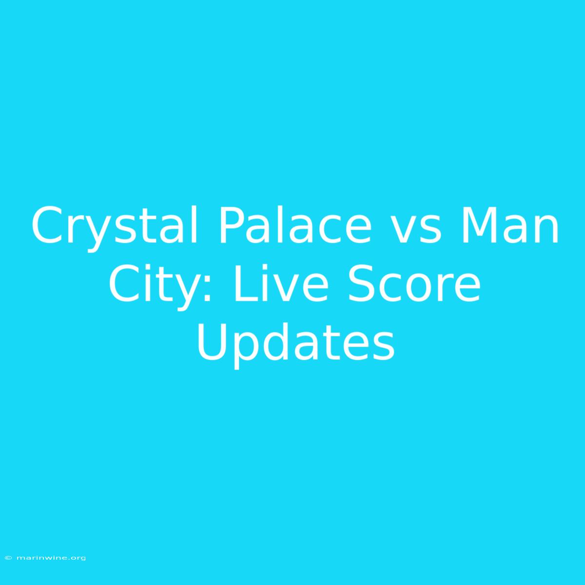 Crystal Palace Vs Man City: Live Score Updates