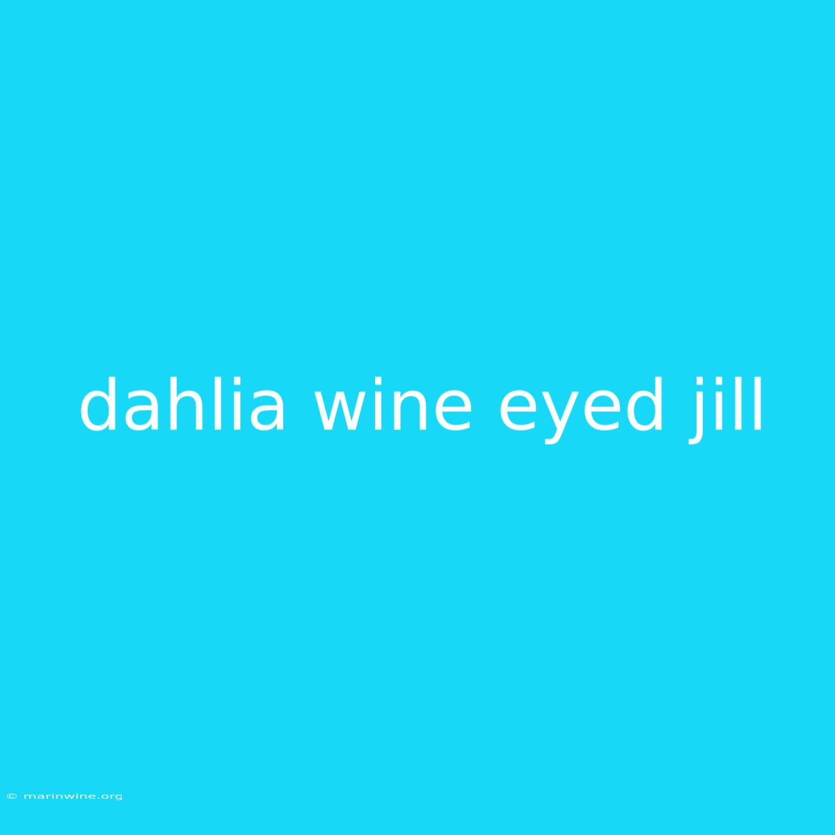 Dahlia Wine Eyed Jill