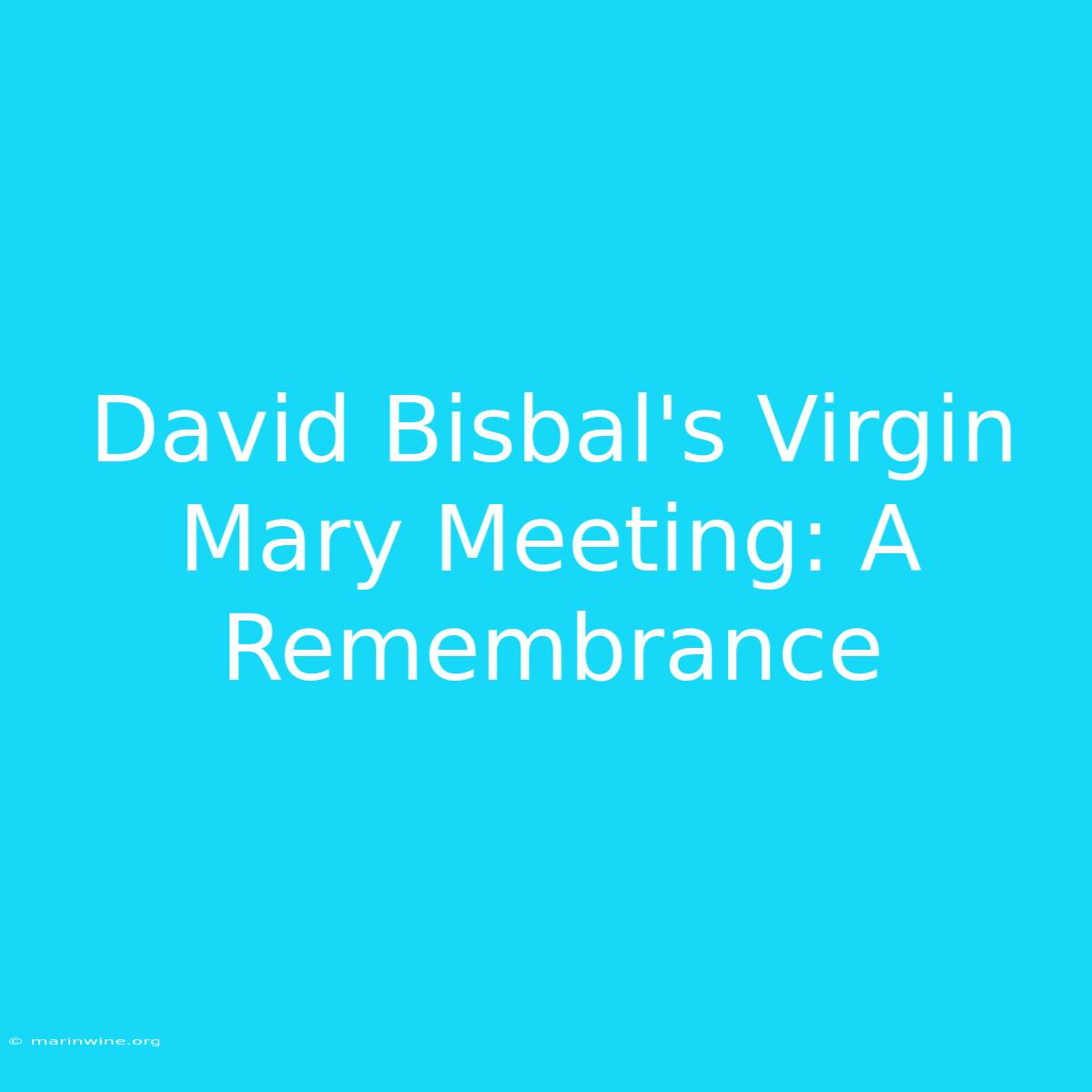 David Bisbal's Virgin Mary Meeting: A Remembrance