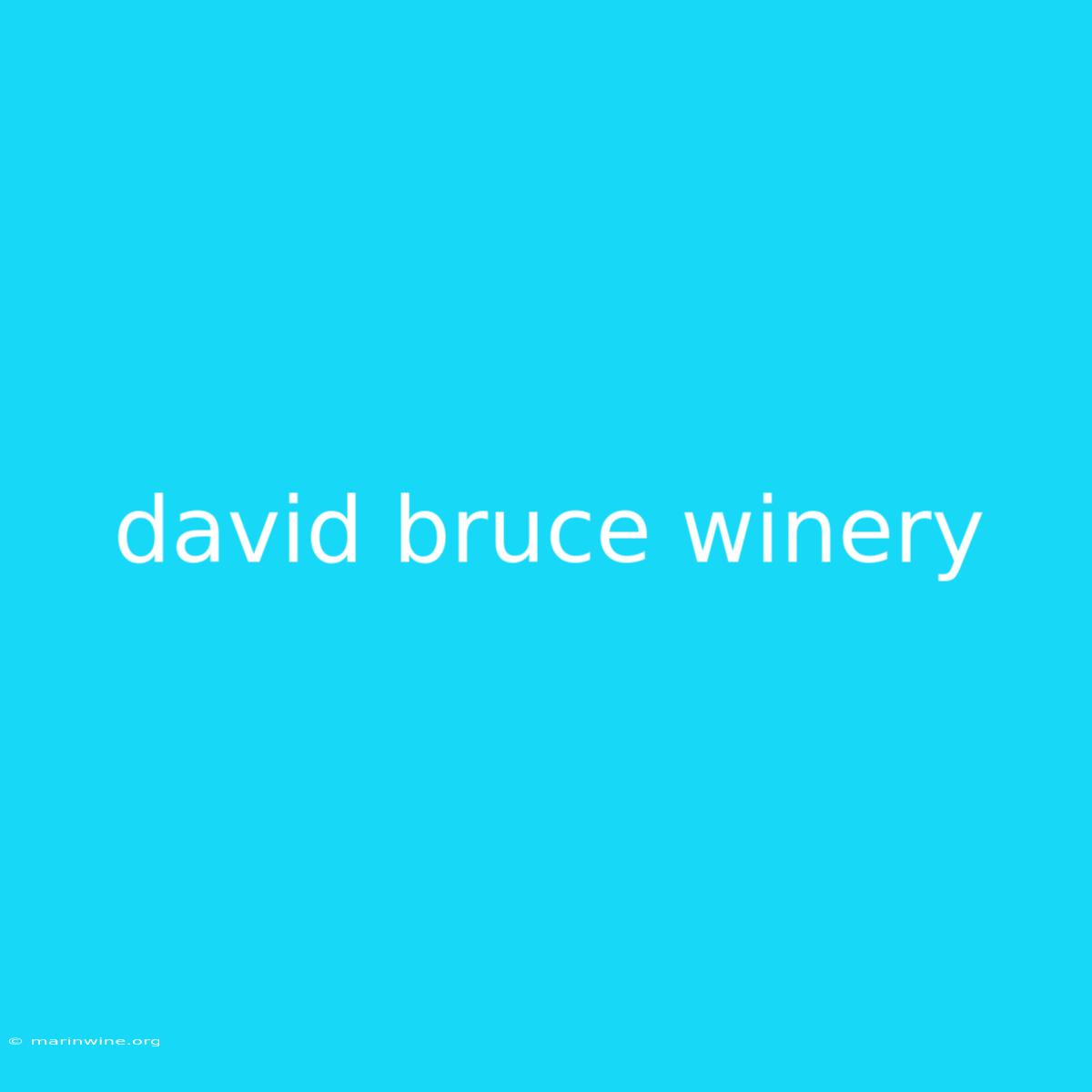 David Bruce Winery