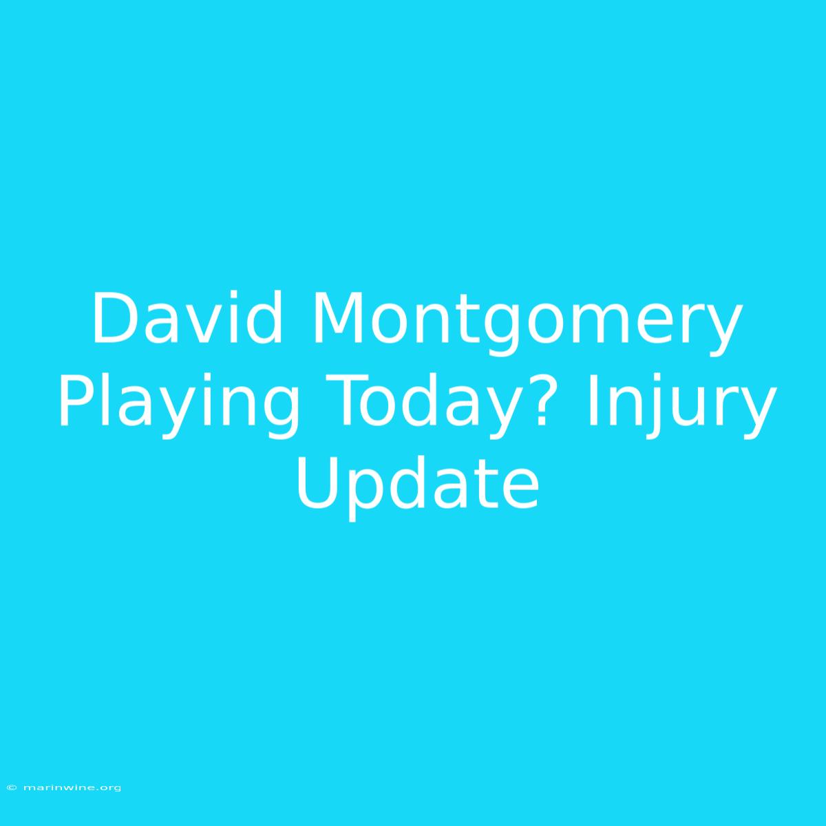 David Montgomery Playing Today? Injury Update