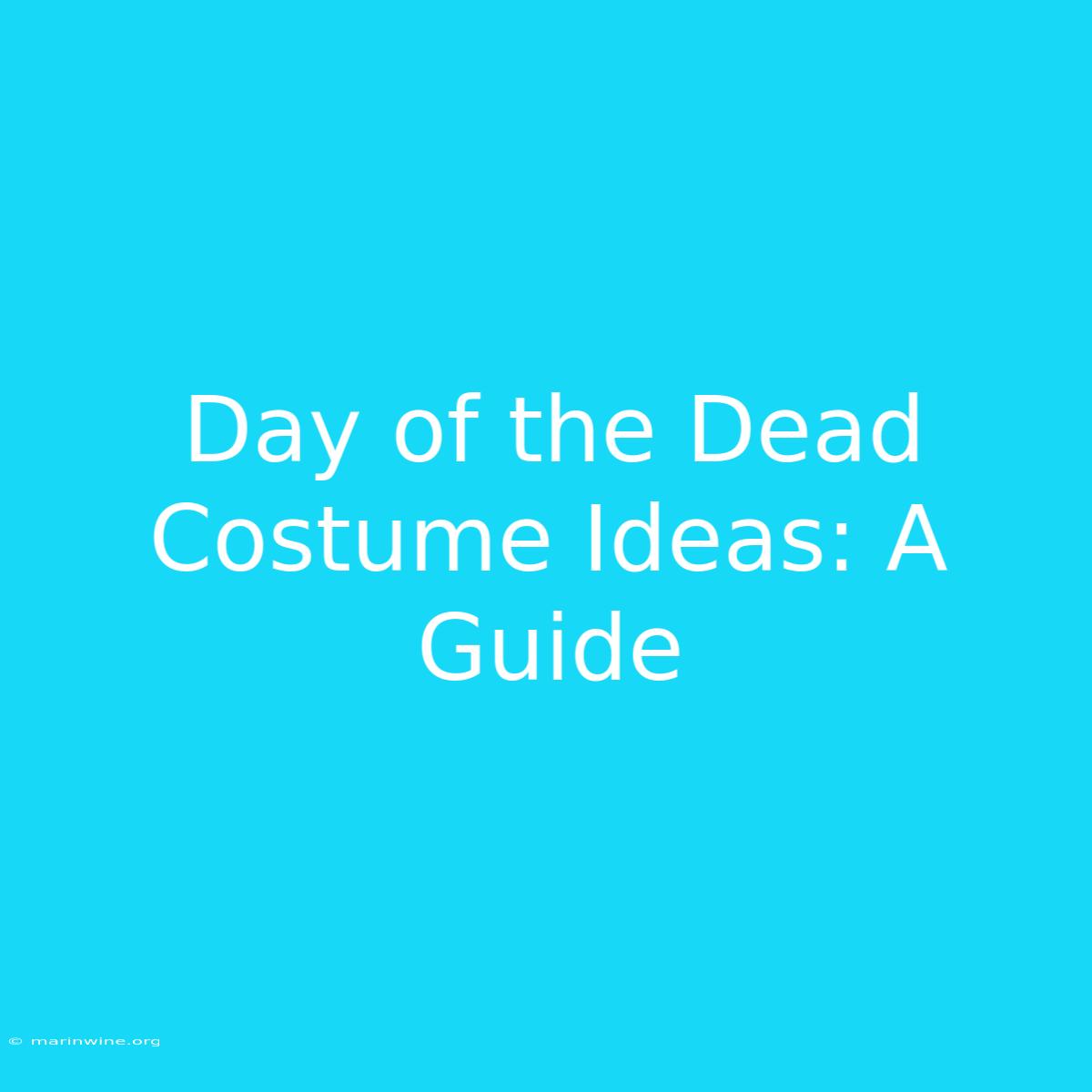 Day Of The Dead Costume Ideas: A Guide 