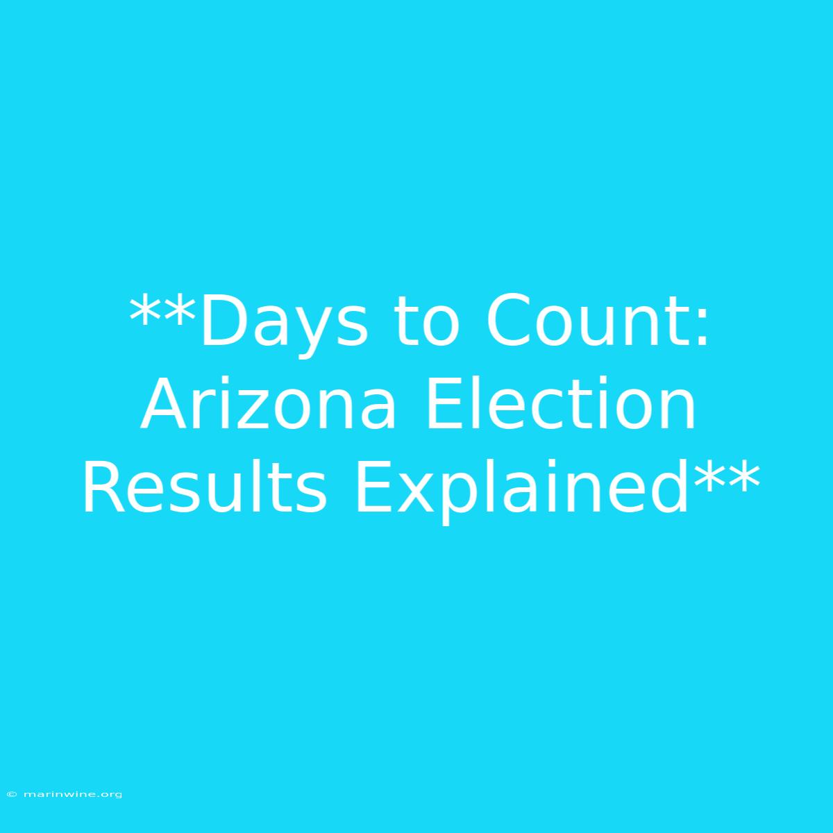 **Days To Count: Arizona Election Results Explained** 