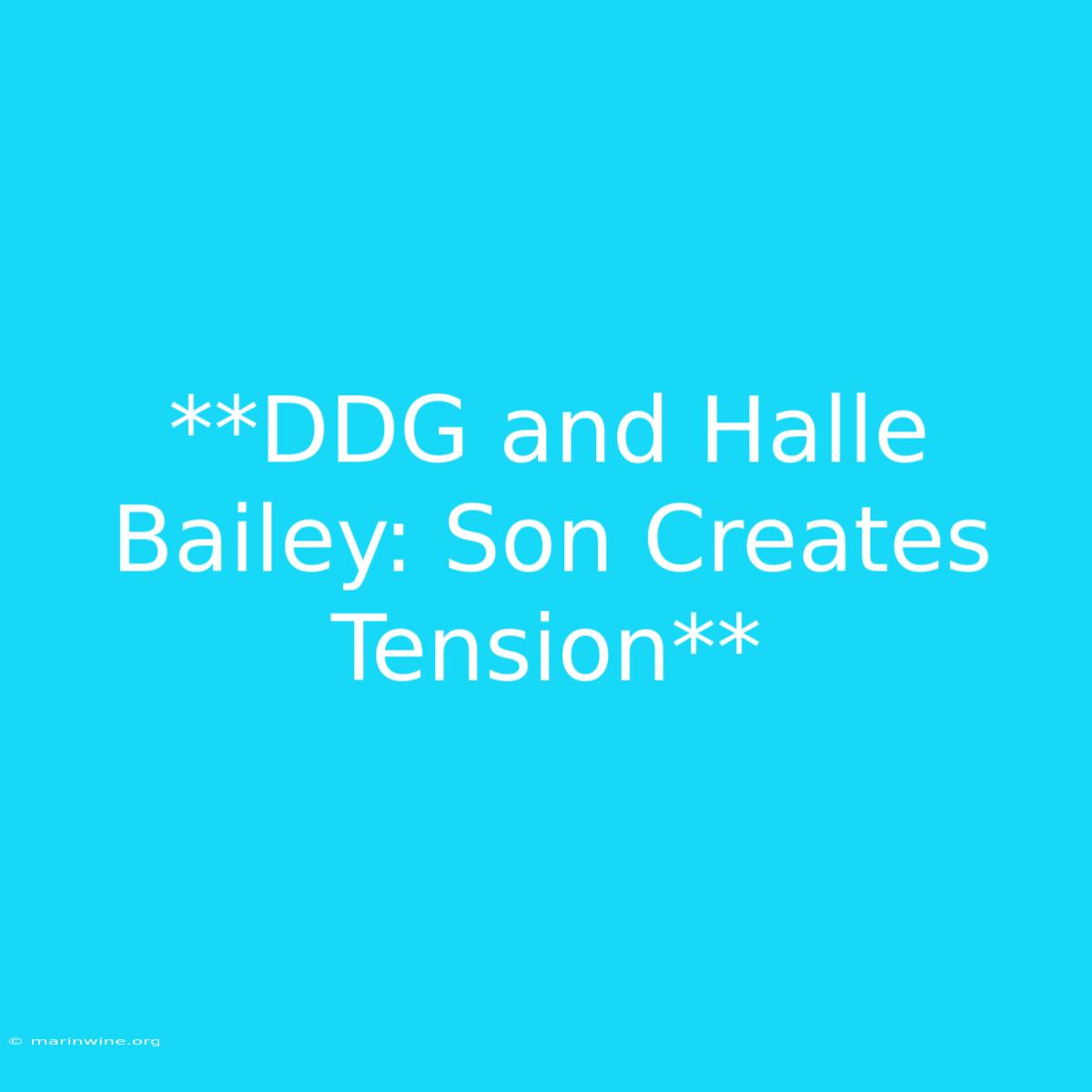 **DDG And Halle Bailey: Son Creates Tension**