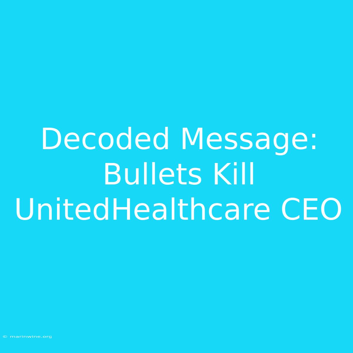 Decoded Message: Bullets Kill UnitedHealthcare CEO