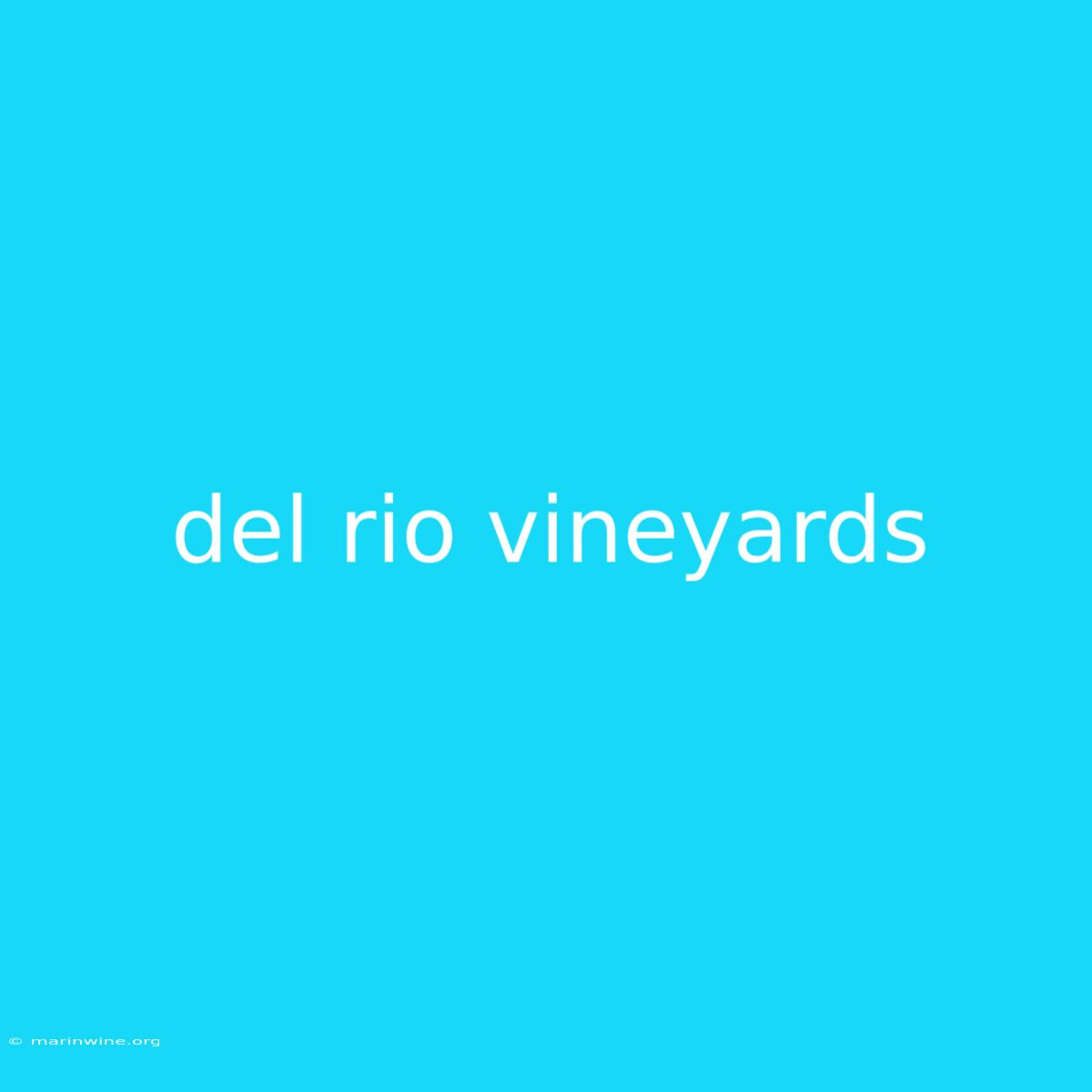 Del Rio Vineyards