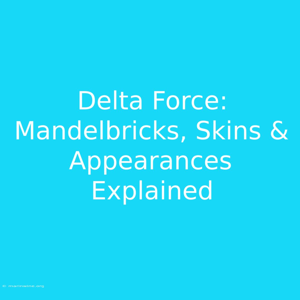 Delta Force: Mandelbricks, Skins & Appearances Explained