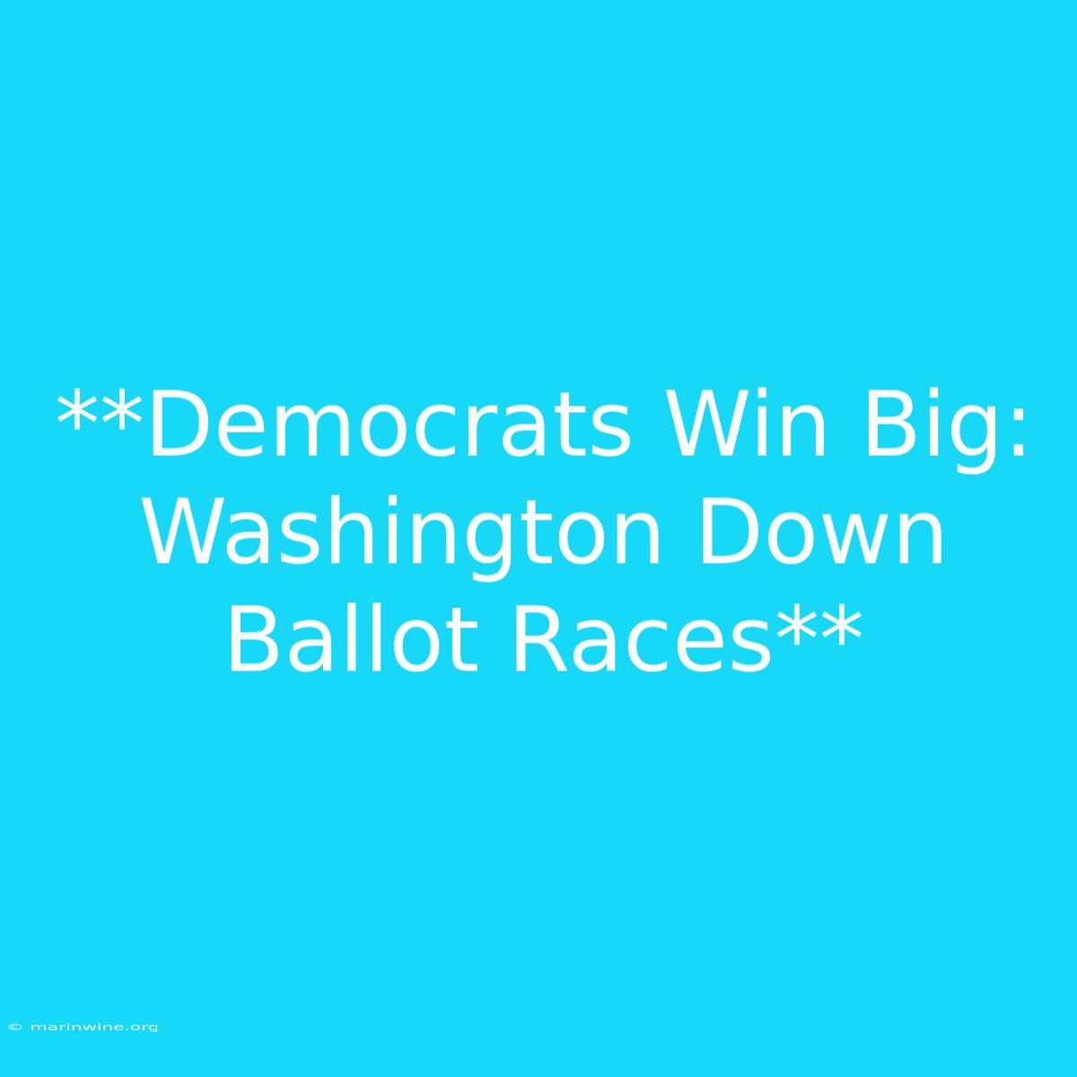 **Democrats Win Big: Washington Down Ballot Races**