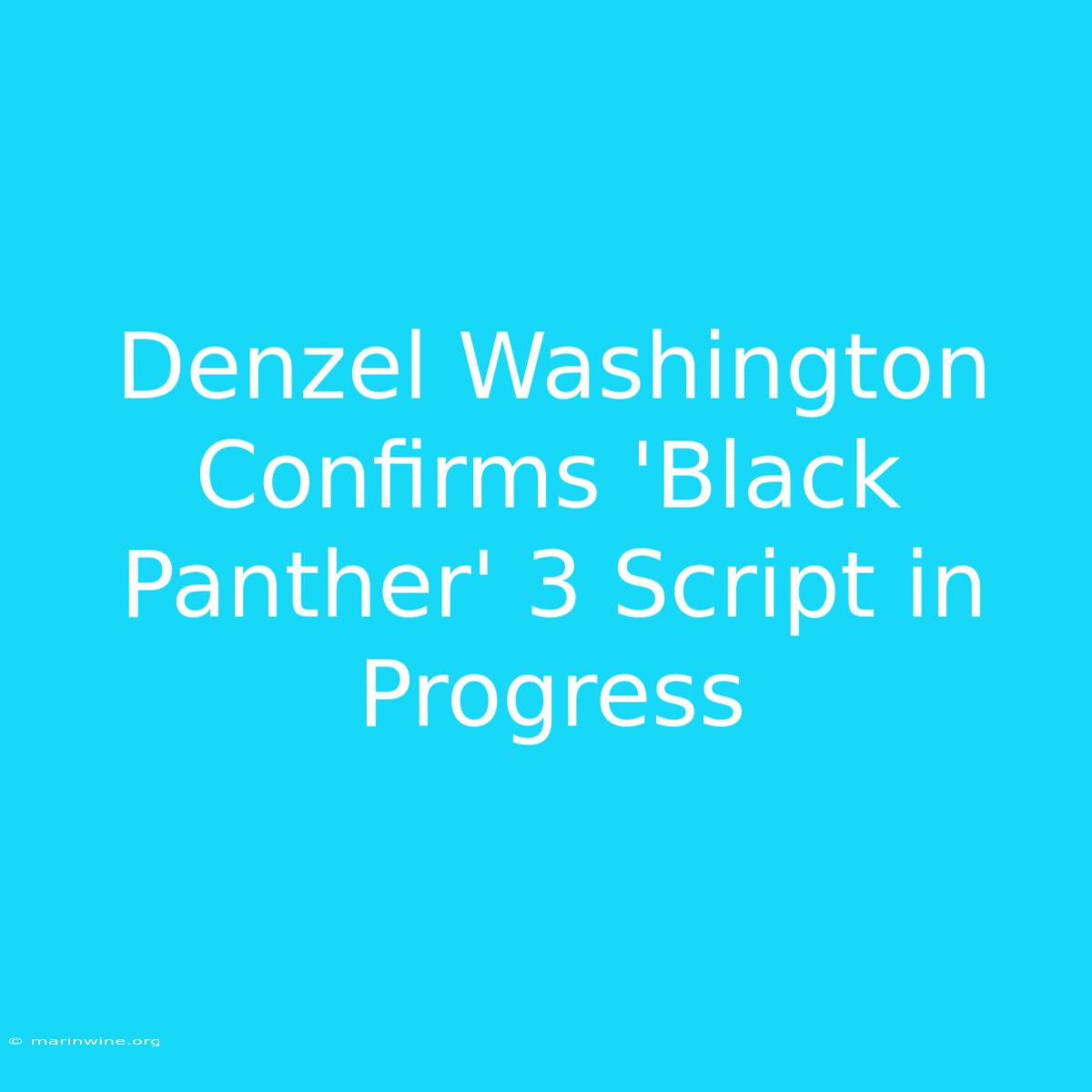 Denzel Washington Confirms 'Black Panther' 3 Script In Progress