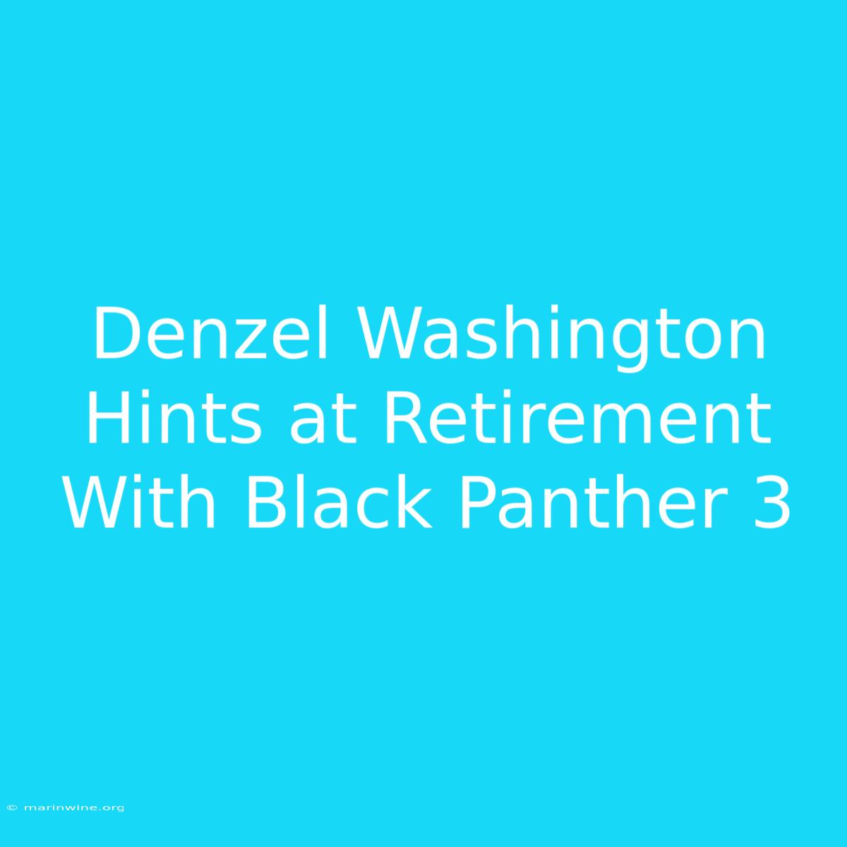 Denzel Washington Hints At Retirement With Black Panther 3