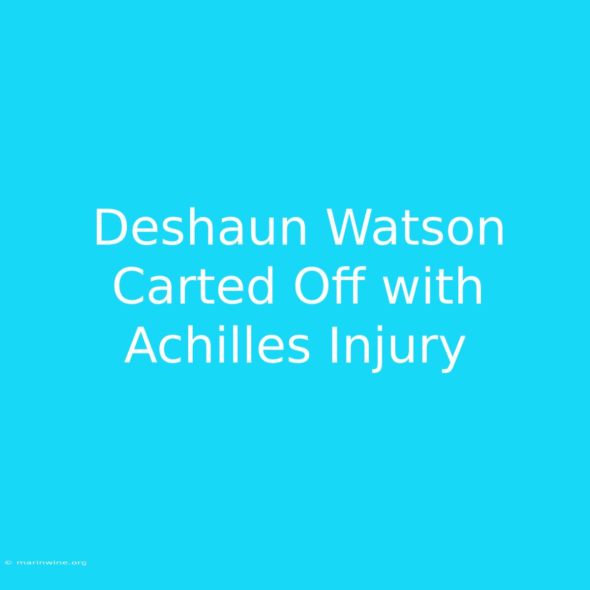 Deshaun Watson Carted Off With Achilles Injury