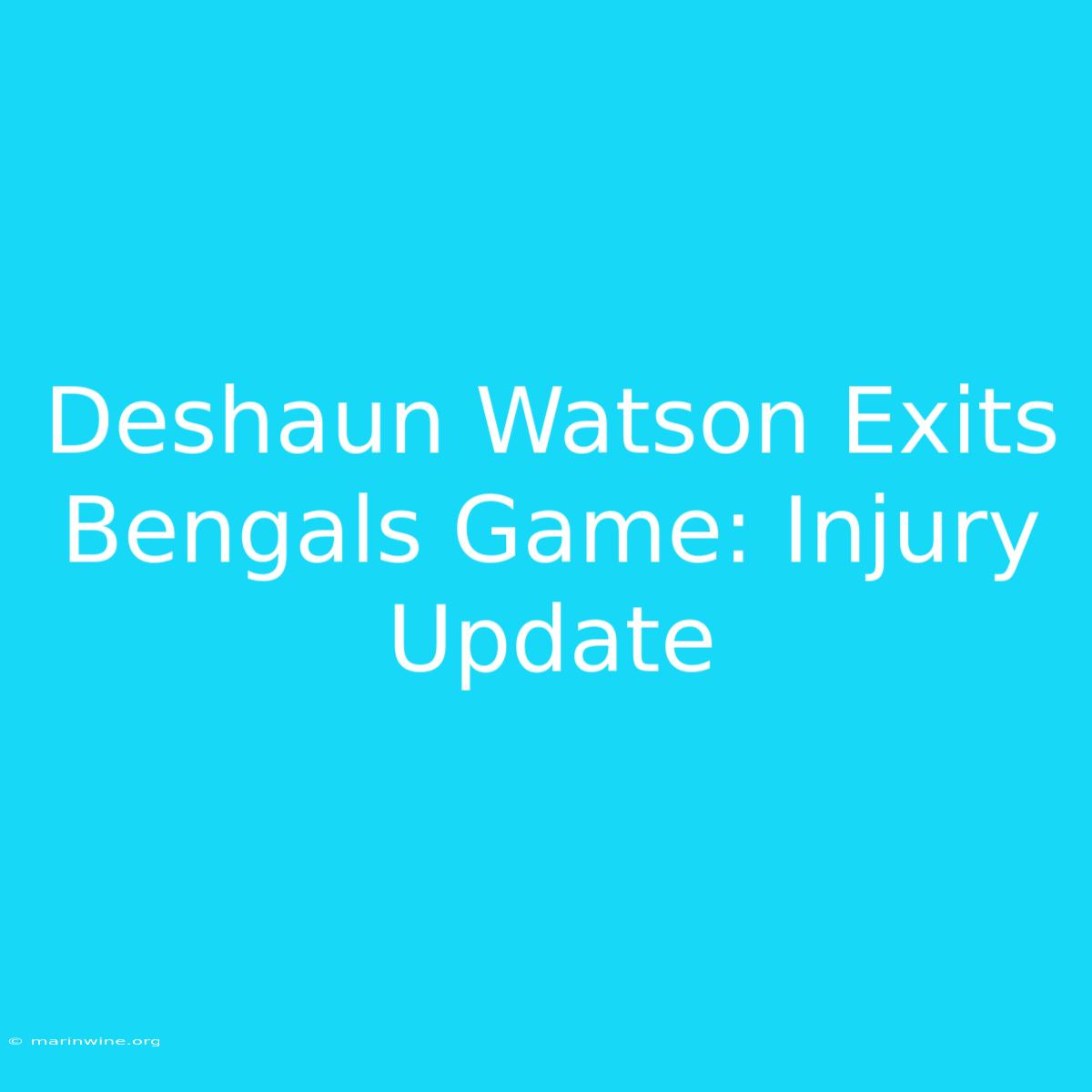 Deshaun Watson Exits Bengals Game: Injury Update