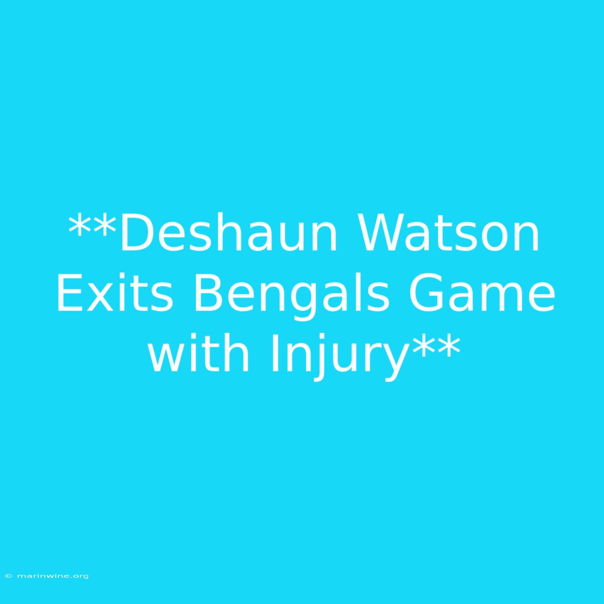 **Deshaun Watson Exits Bengals Game With Injury** 