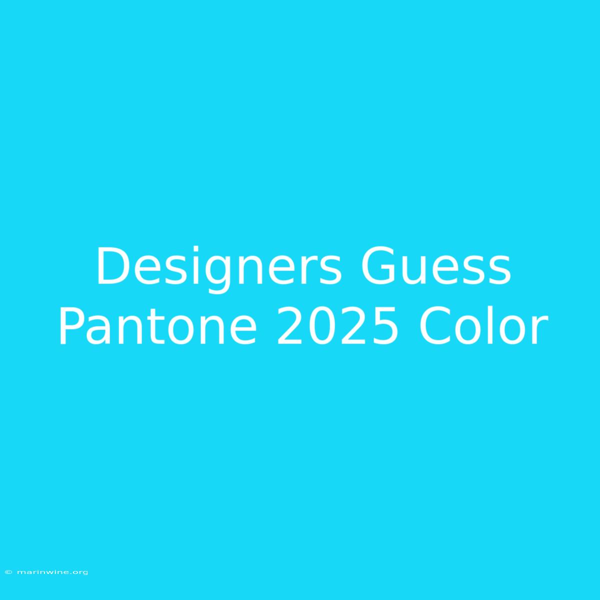 Designers Guess Pantone 2025 Color