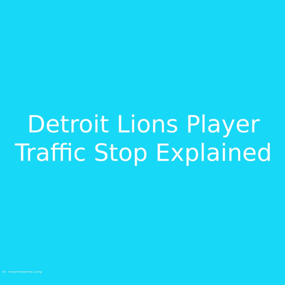 Detroit Lions Player Traffic Stop Explained