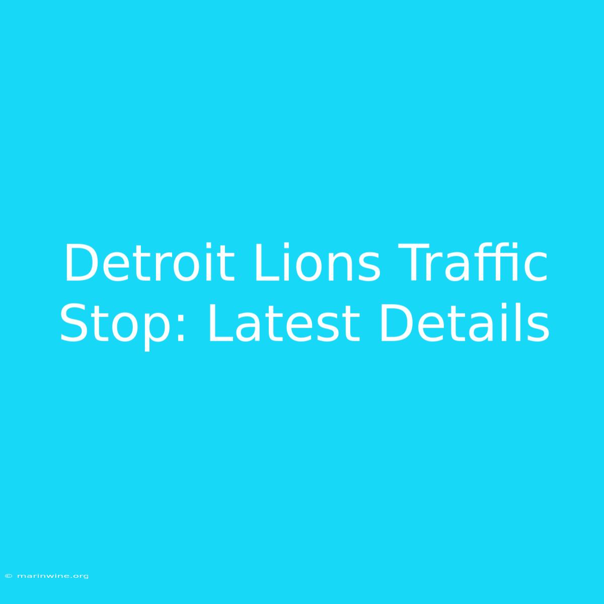 Detroit Lions Traffic Stop: Latest Details