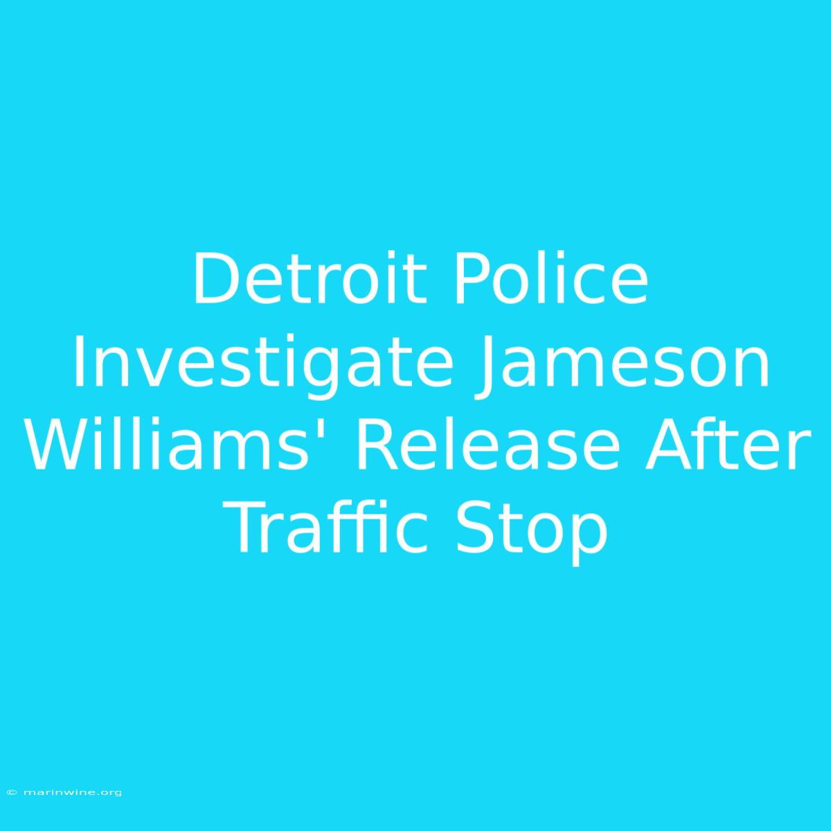 Detroit Police Investigate Jameson Williams' Release After Traffic Stop