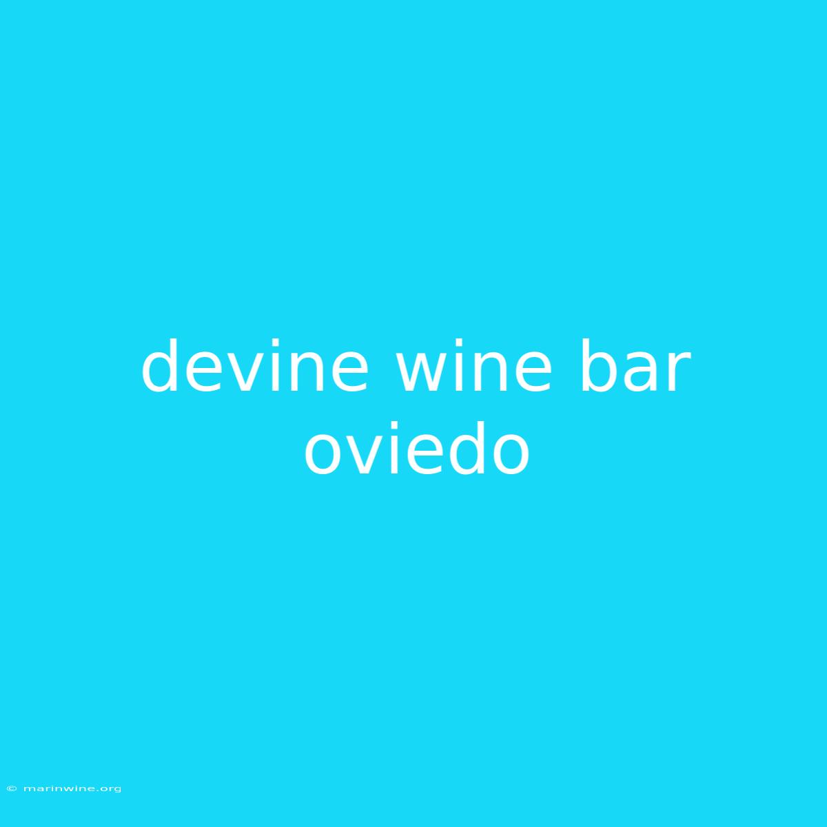 Devine Wine Bar Oviedo