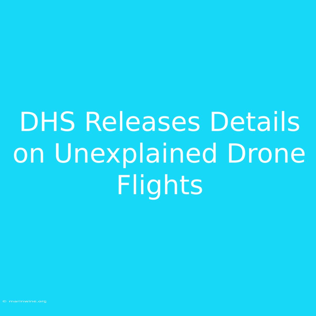 DHS Releases Details On Unexplained Drone Flights