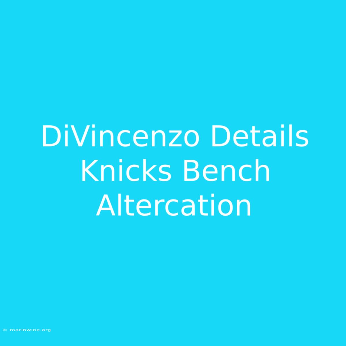 DiVincenzo Details Knicks Bench Altercation