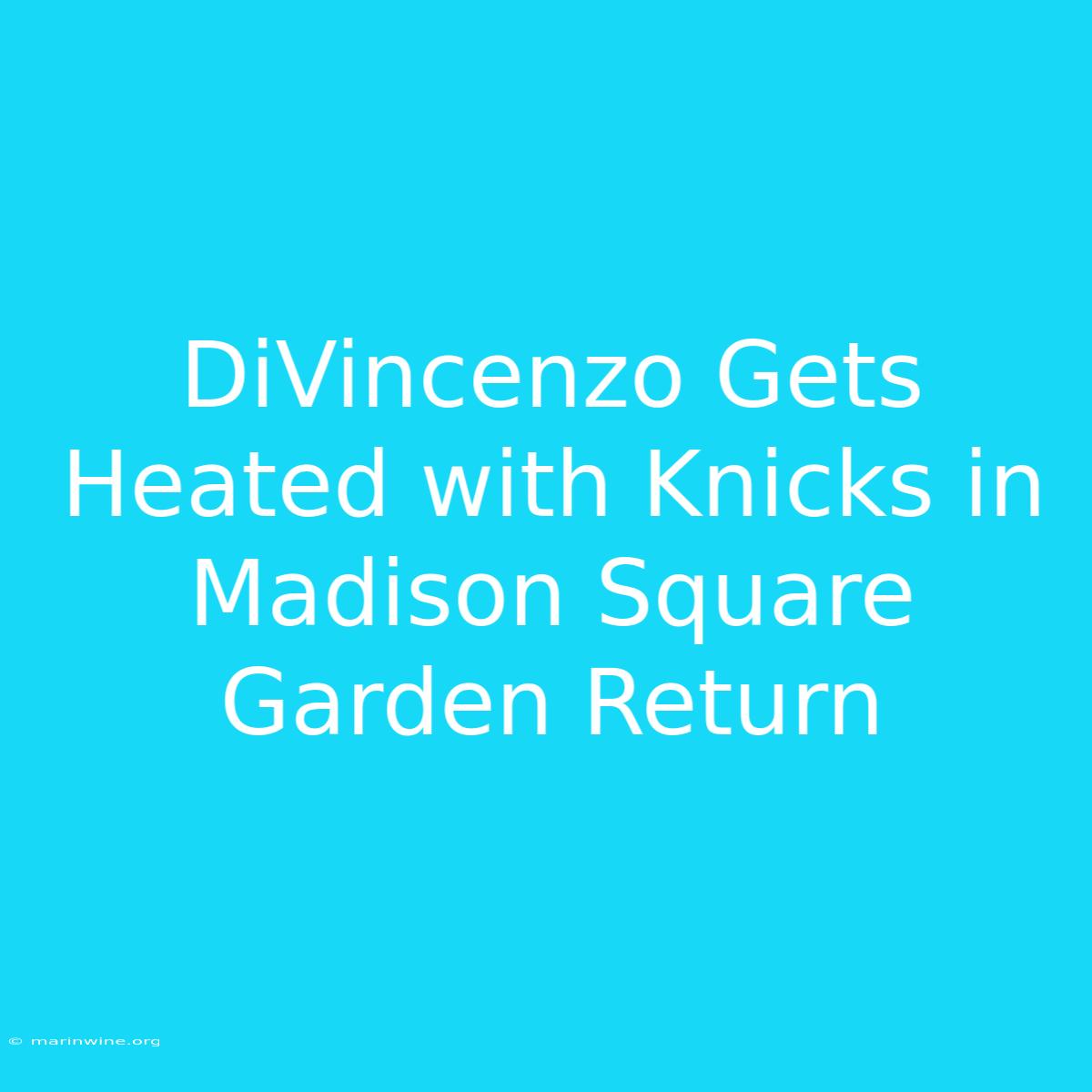 DiVincenzo Gets Heated With Knicks In Madison Square Garden Return