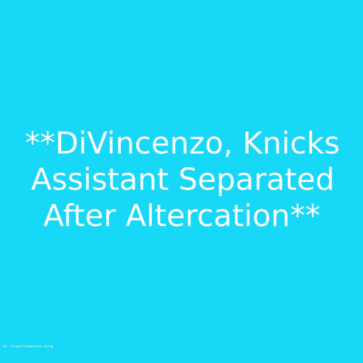 **DiVincenzo, Knicks Assistant Separated After Altercation**