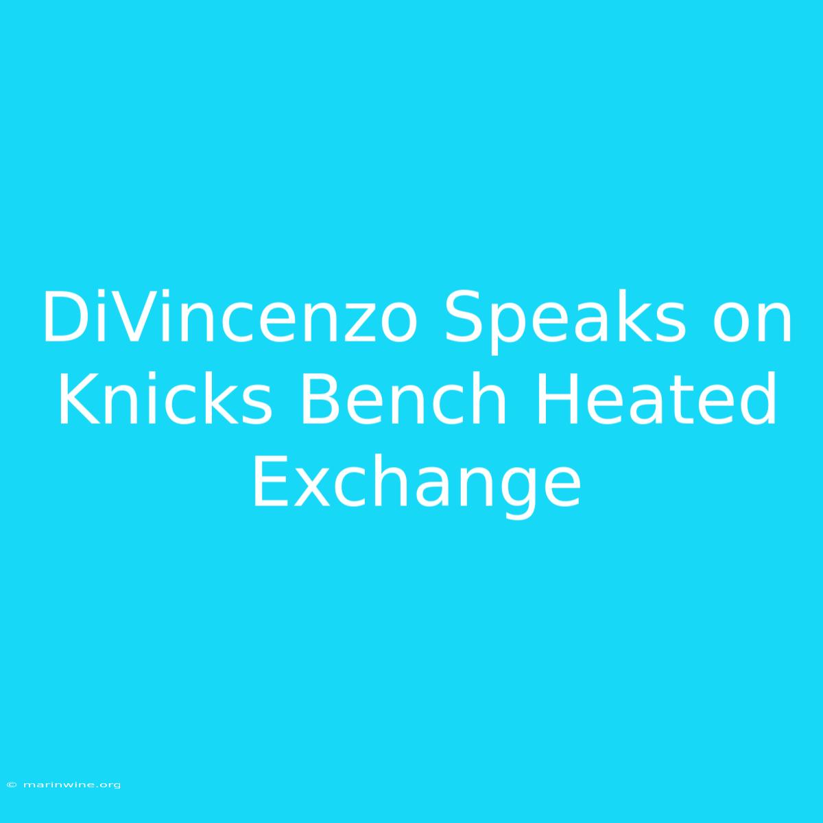 DiVincenzo Speaks On Knicks Bench Heated Exchange