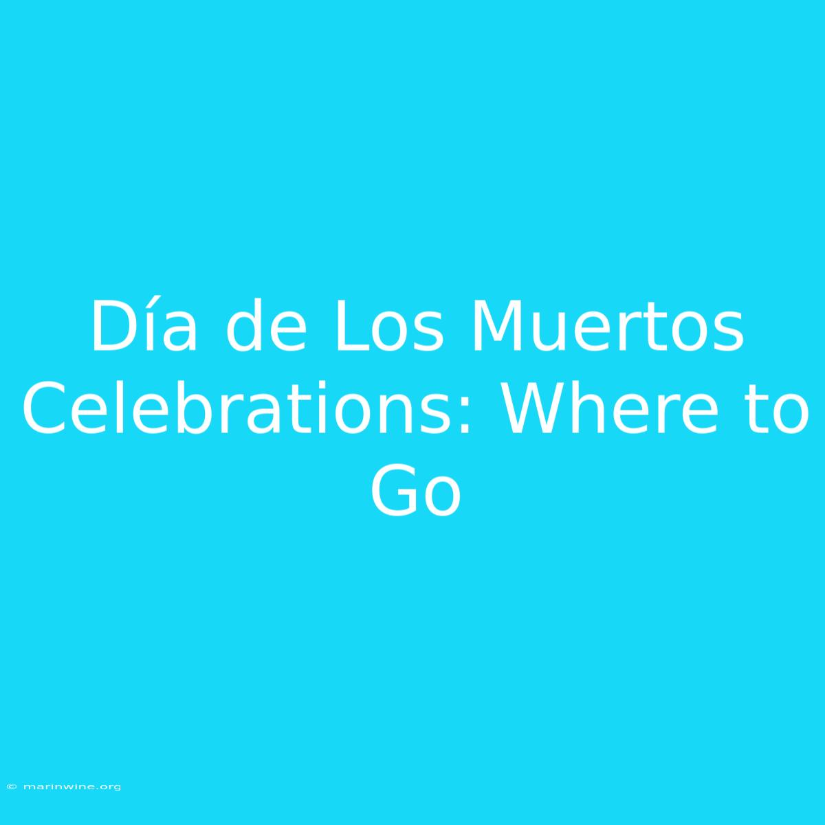 Día De Los Muertos Celebrations: Where To Go