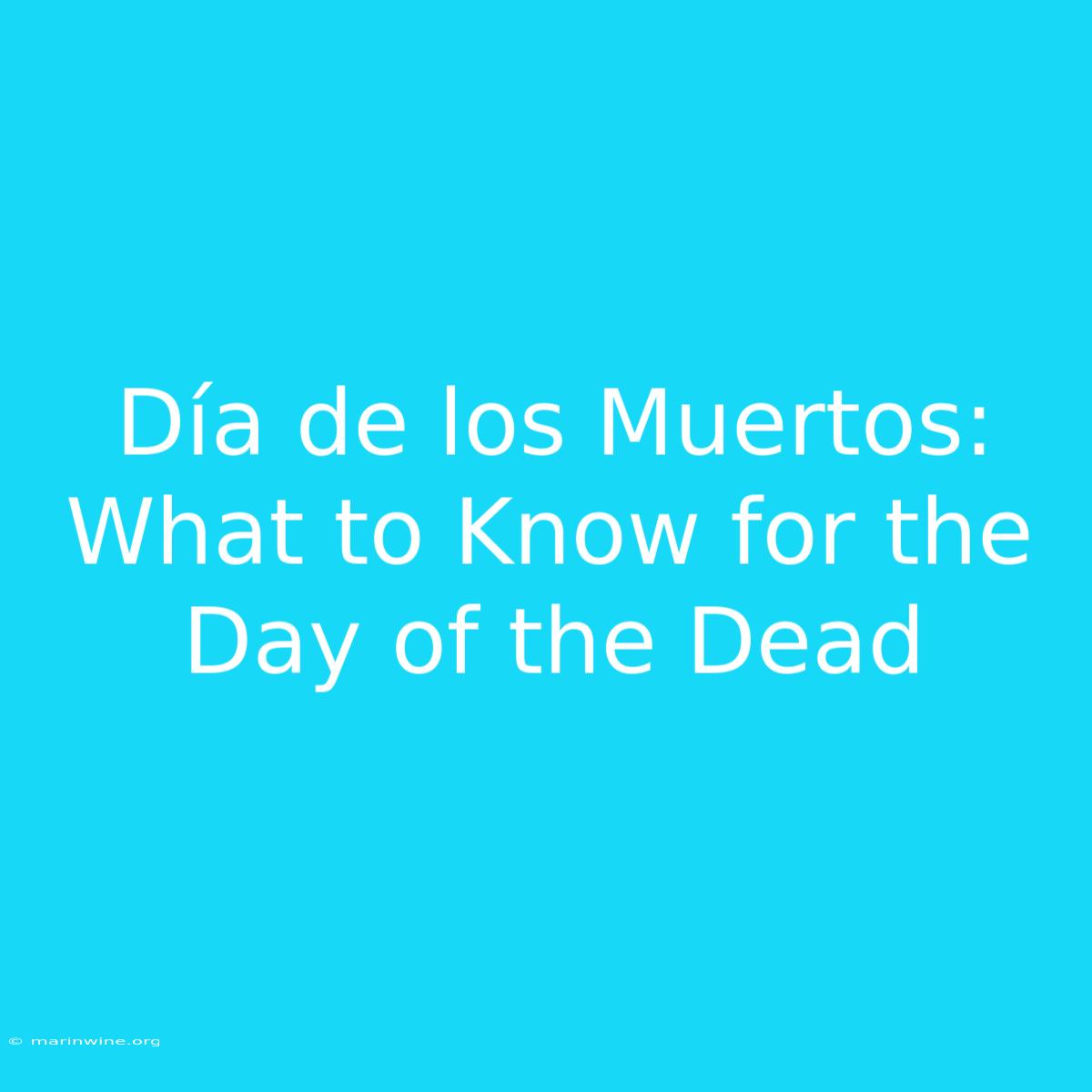 Día De Los Muertos: What To Know For The Day Of The Dead 