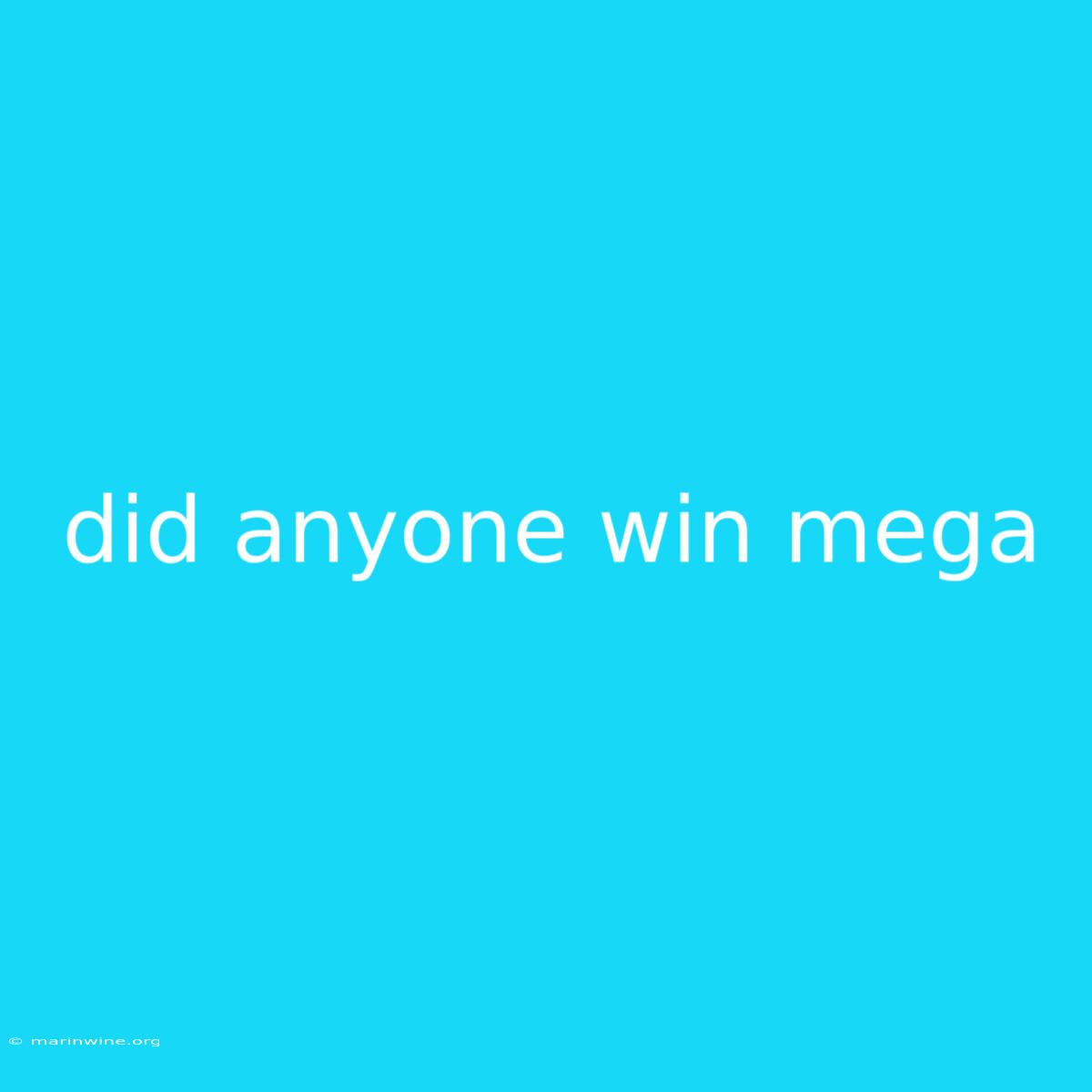 Did Anyone Win Mega