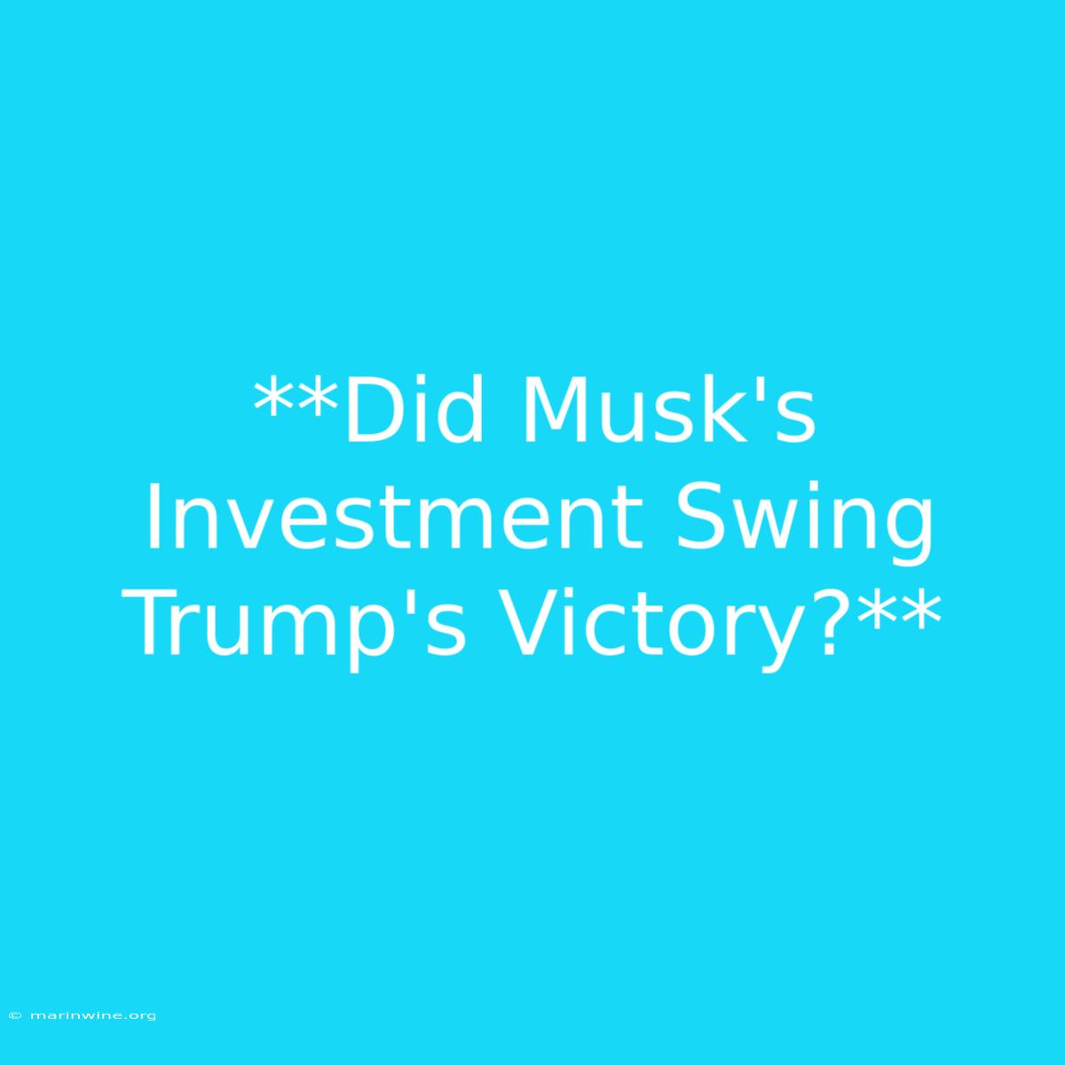 **Did Musk's Investment Swing Trump's Victory?**