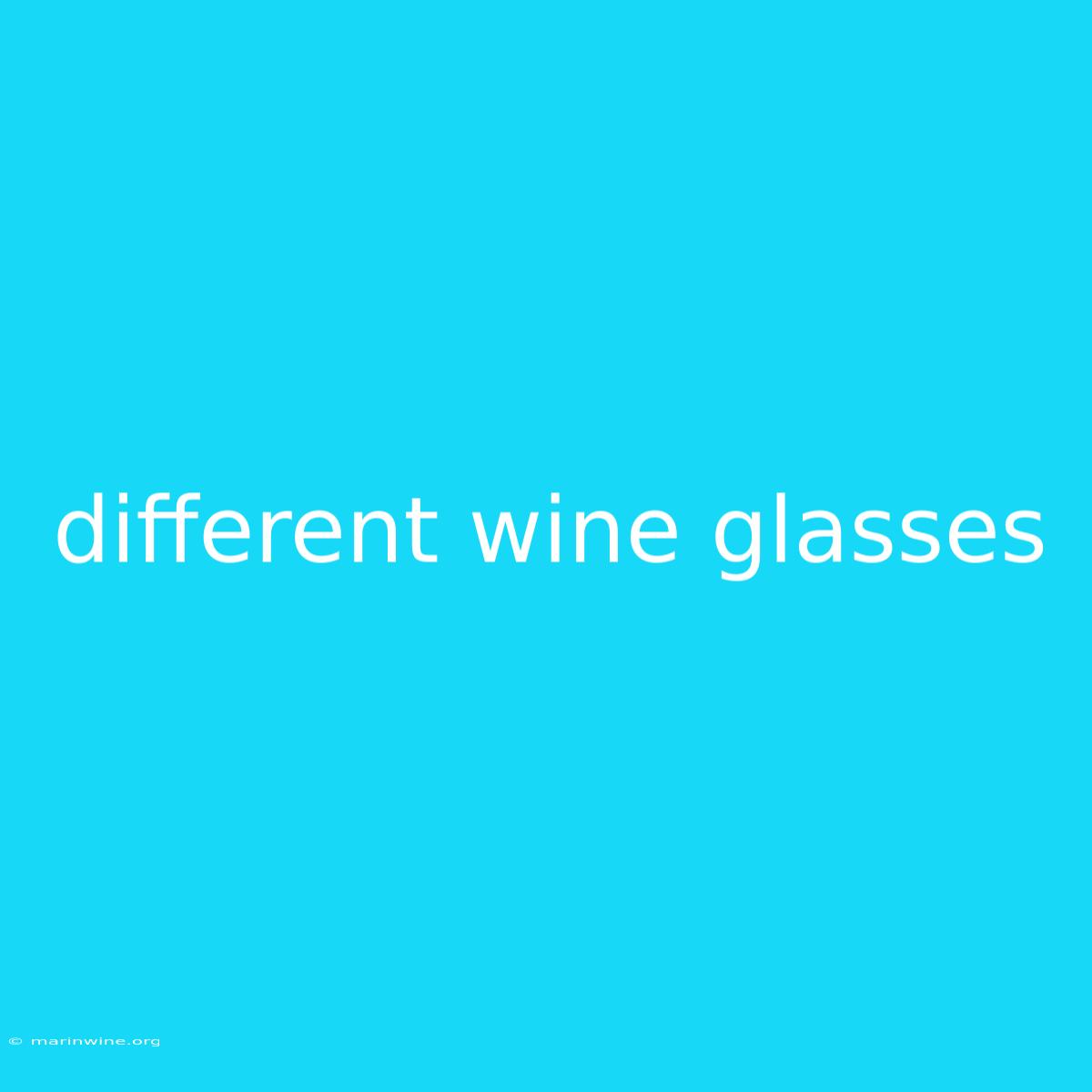 Different Wine Glasses