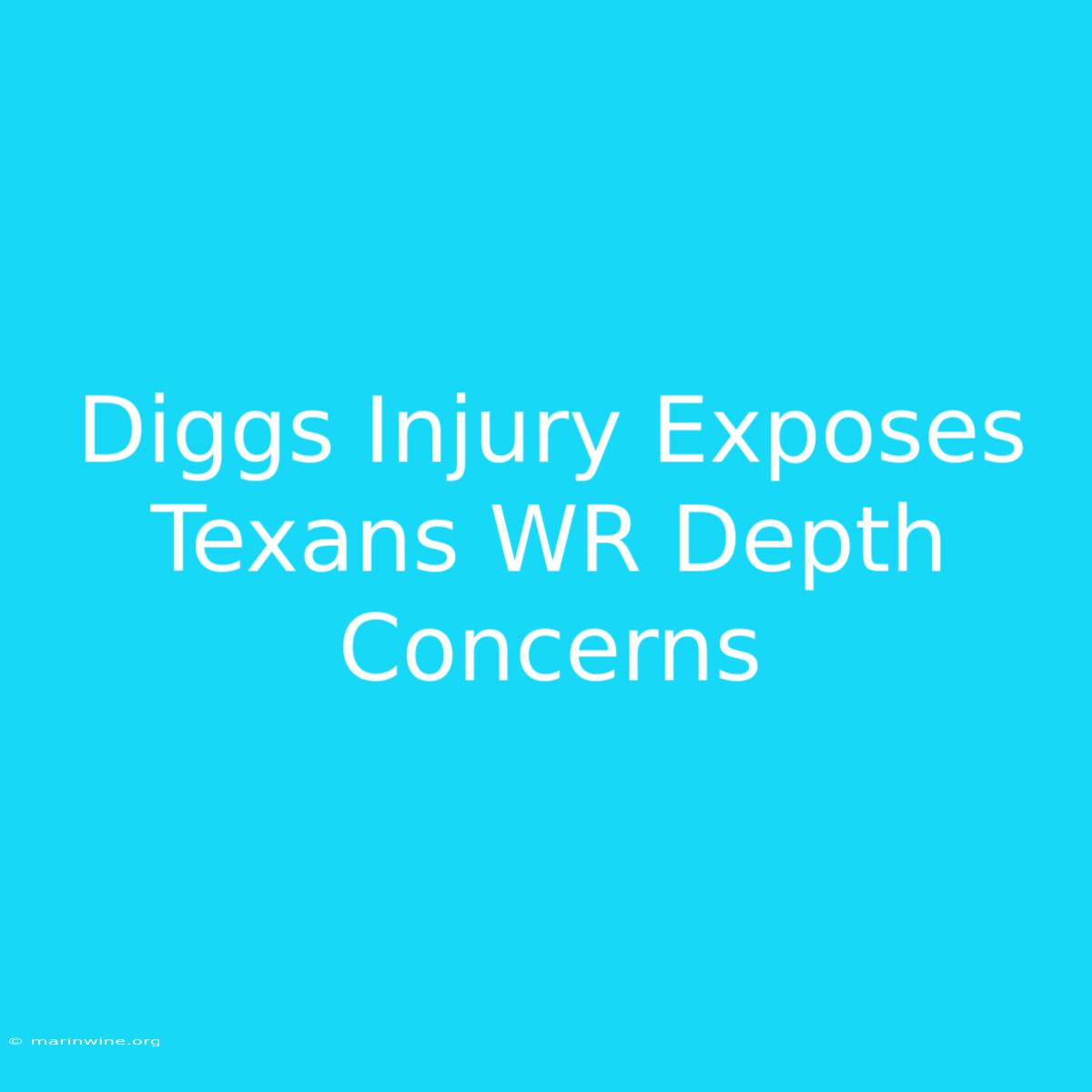 Diggs Injury Exposes Texans WR Depth Concerns