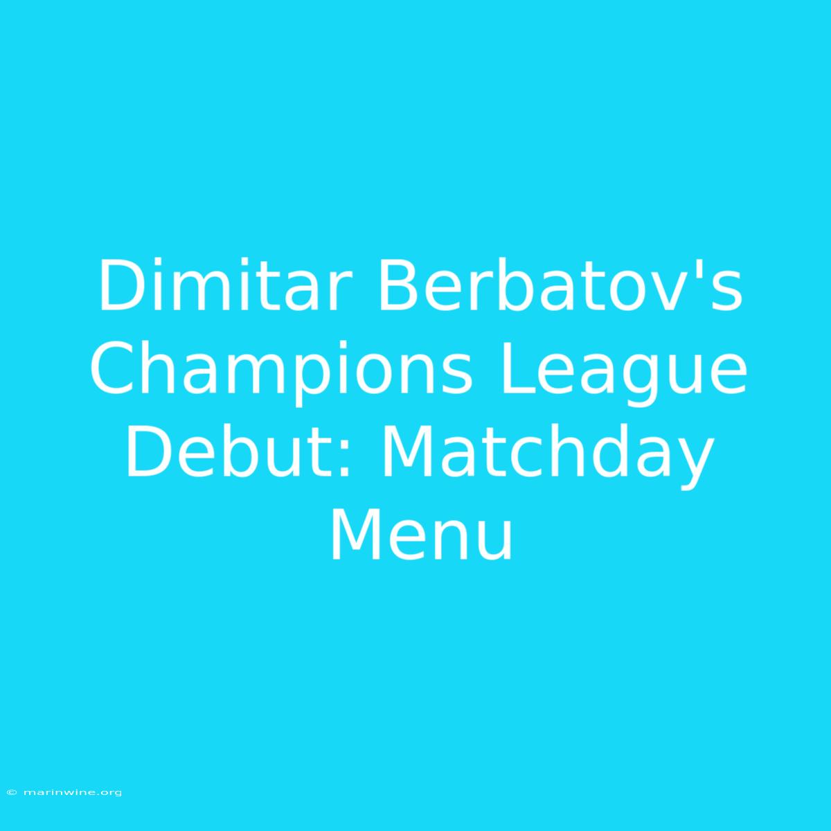 Dimitar Berbatov's Champions League Debut: Matchday Menu