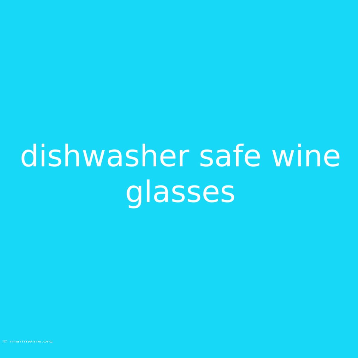 Dishwasher Safe Wine Glasses