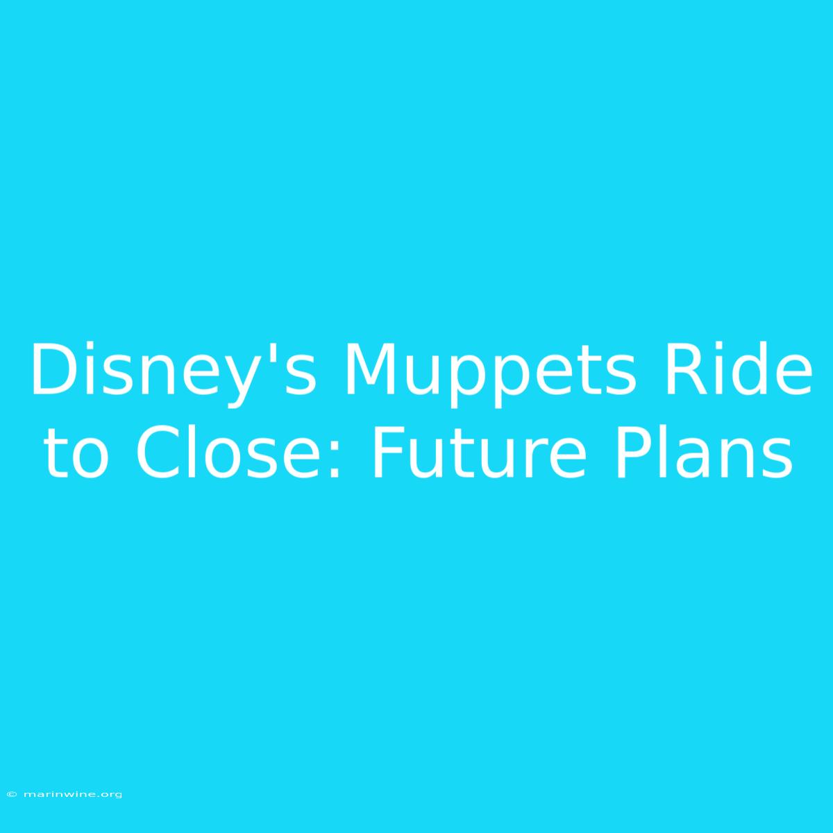 Disney's Muppets Ride To Close: Future Plans