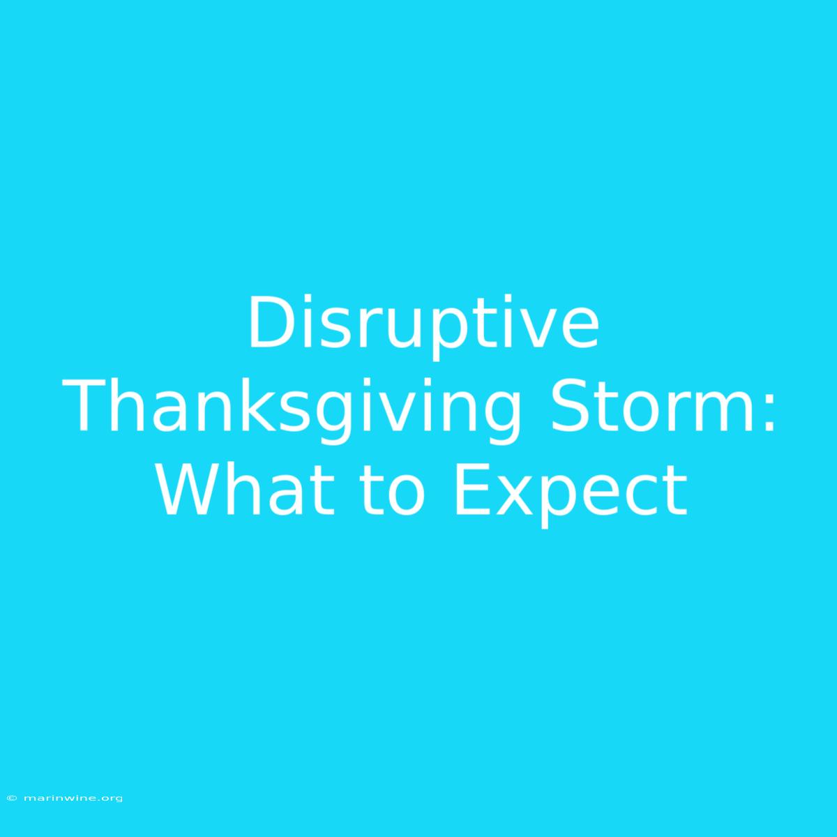 Disruptive Thanksgiving Storm: What To Expect