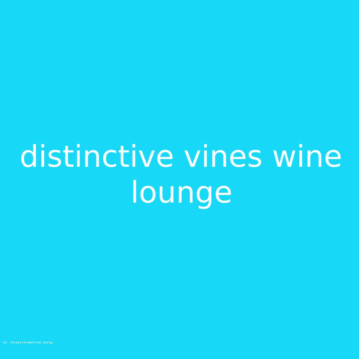 Distinctive Vines Wine Lounge