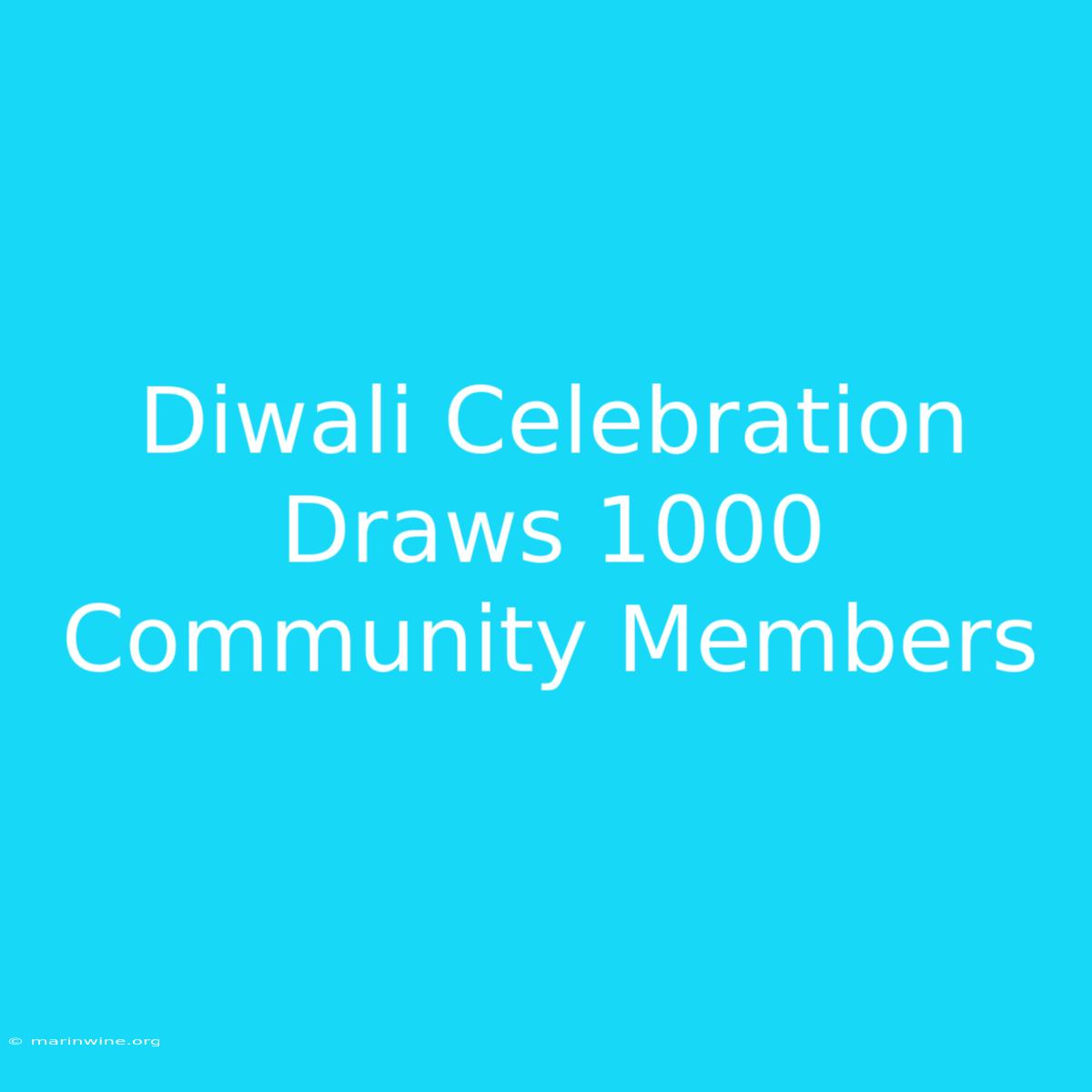 Diwali Celebration Draws 1000 Community Members