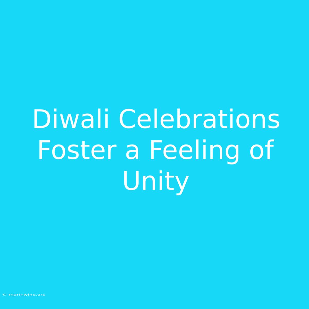 Diwali Celebrations Foster A Feeling Of Unity