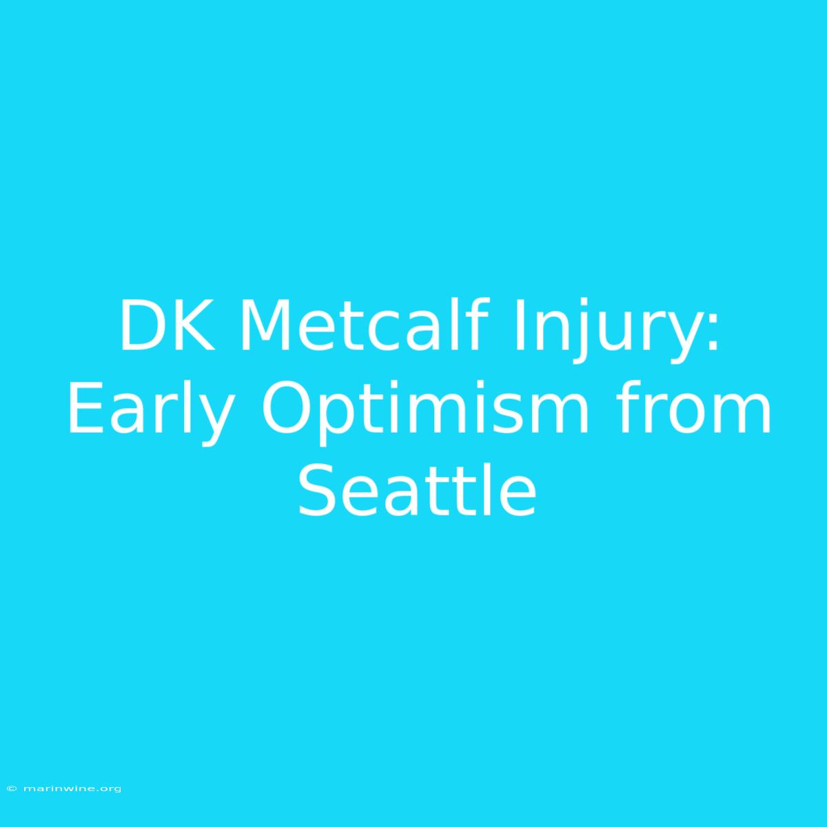 DK Metcalf Injury: Early Optimism From Seattle