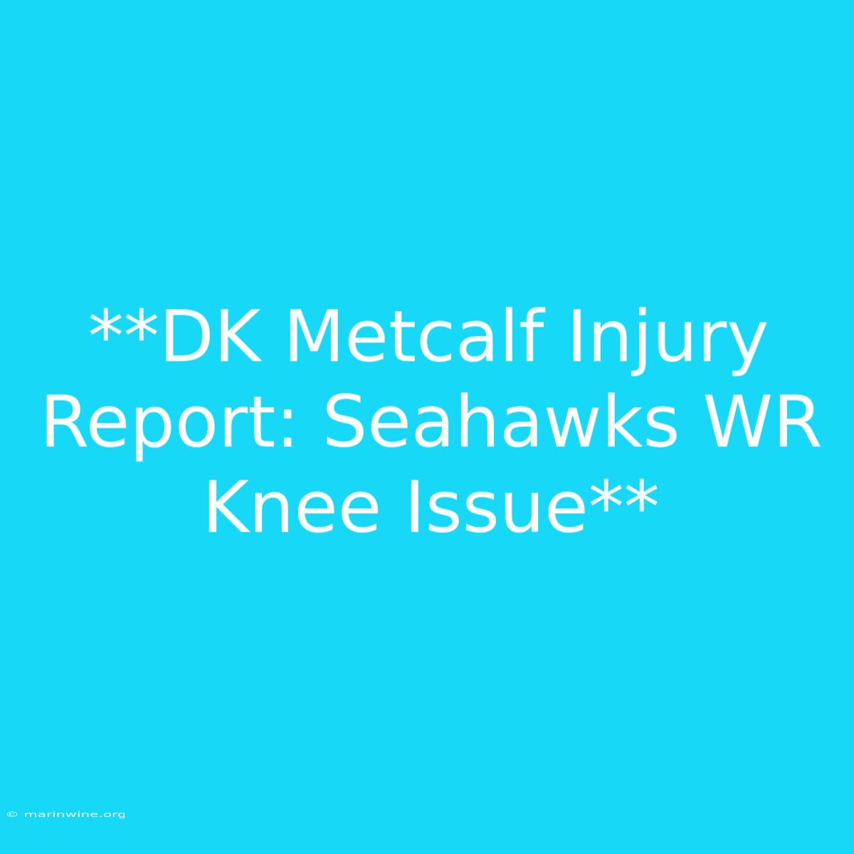 **DK Metcalf Injury Report: Seahawks WR Knee Issue** 