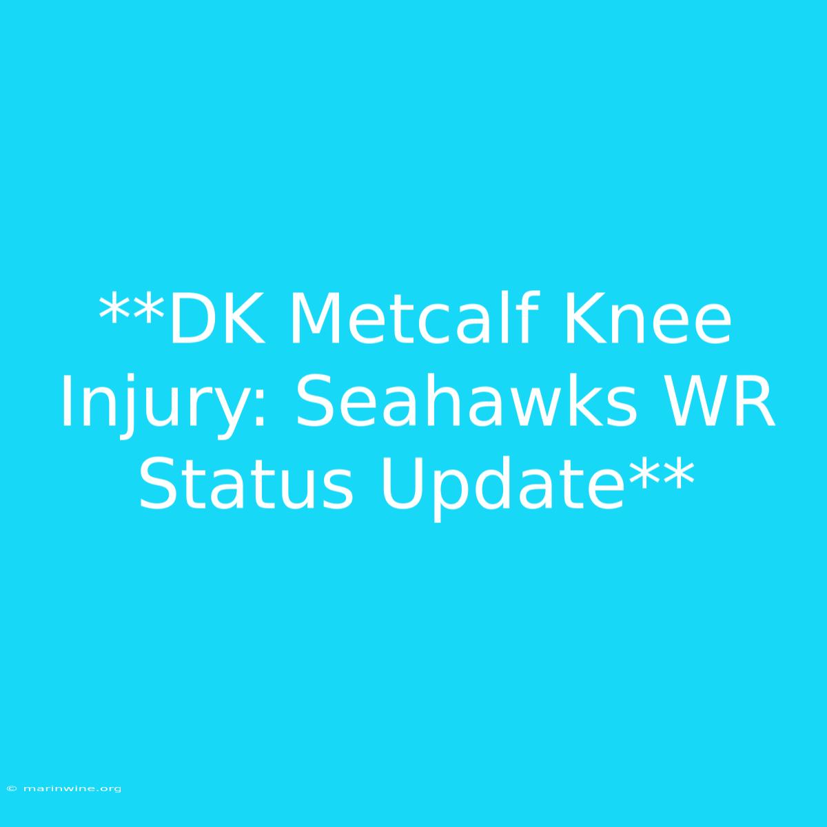 **DK Metcalf Knee Injury: Seahawks WR Status Update**