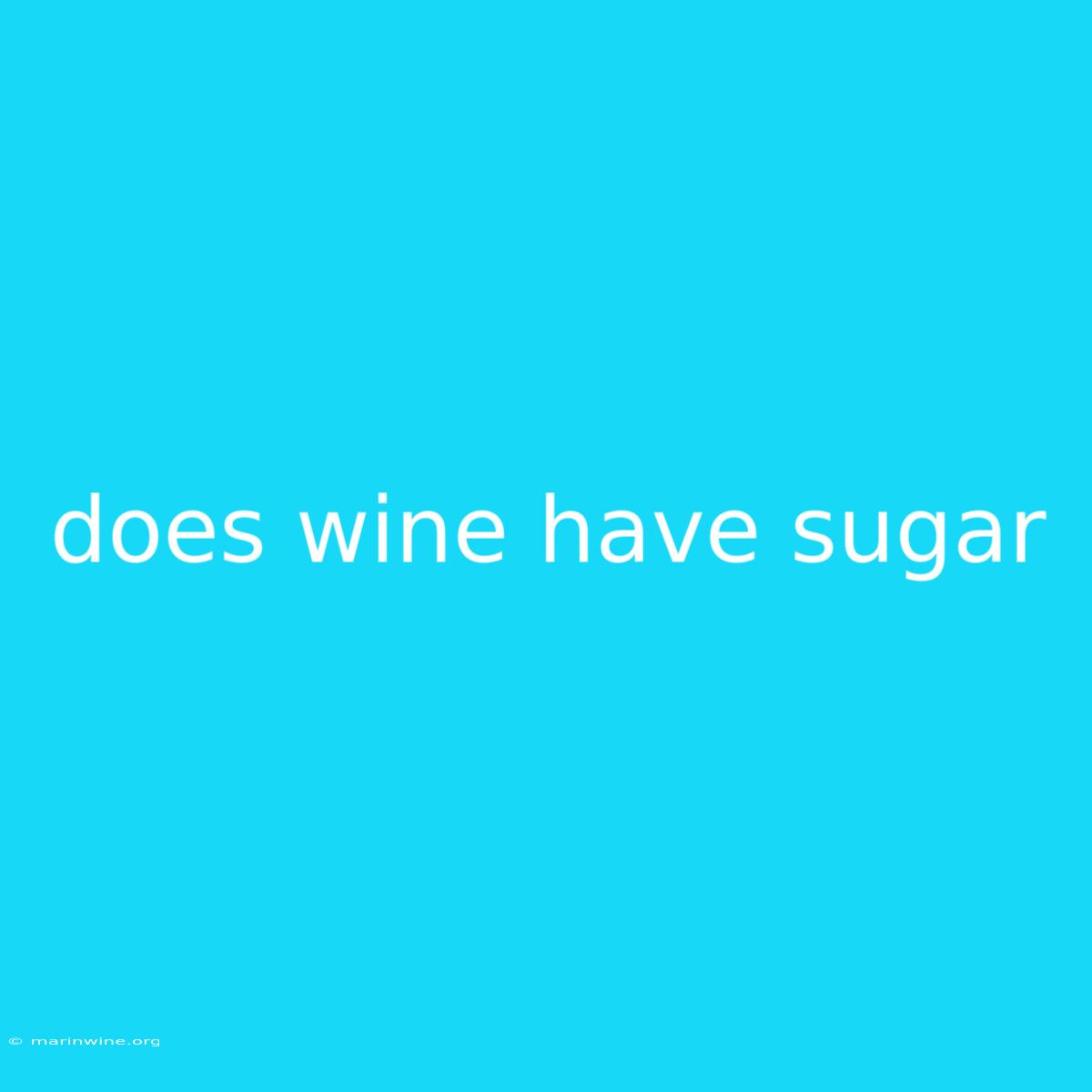 Does Wine Have Sugar