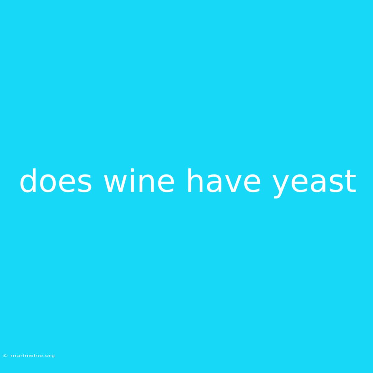 Does Wine Have Yeast