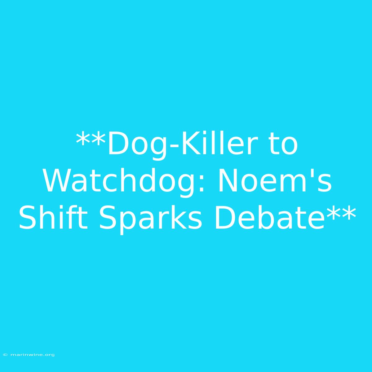 **Dog-Killer To Watchdog: Noem's Shift Sparks Debate** 