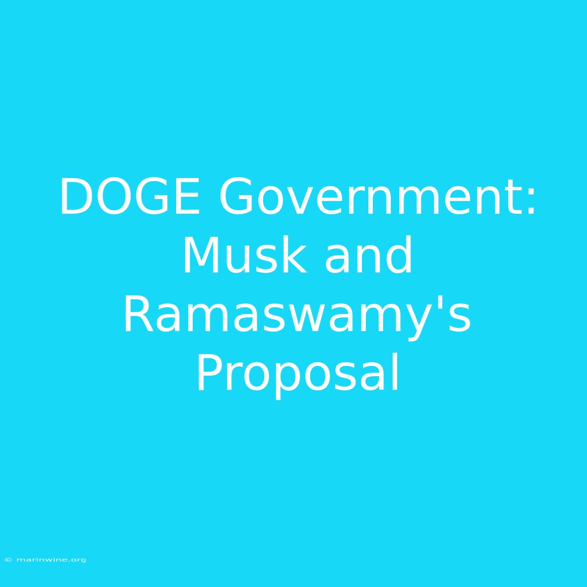 DOGE Government: Musk And Ramaswamy's Proposal