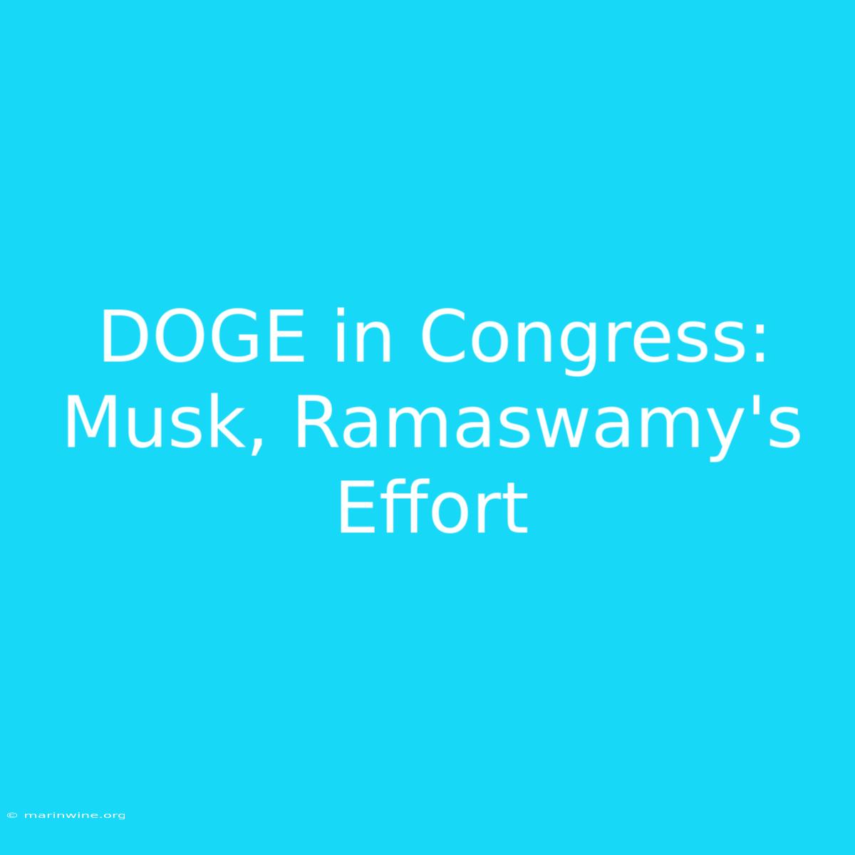 DOGE In Congress: Musk, Ramaswamy's Effort