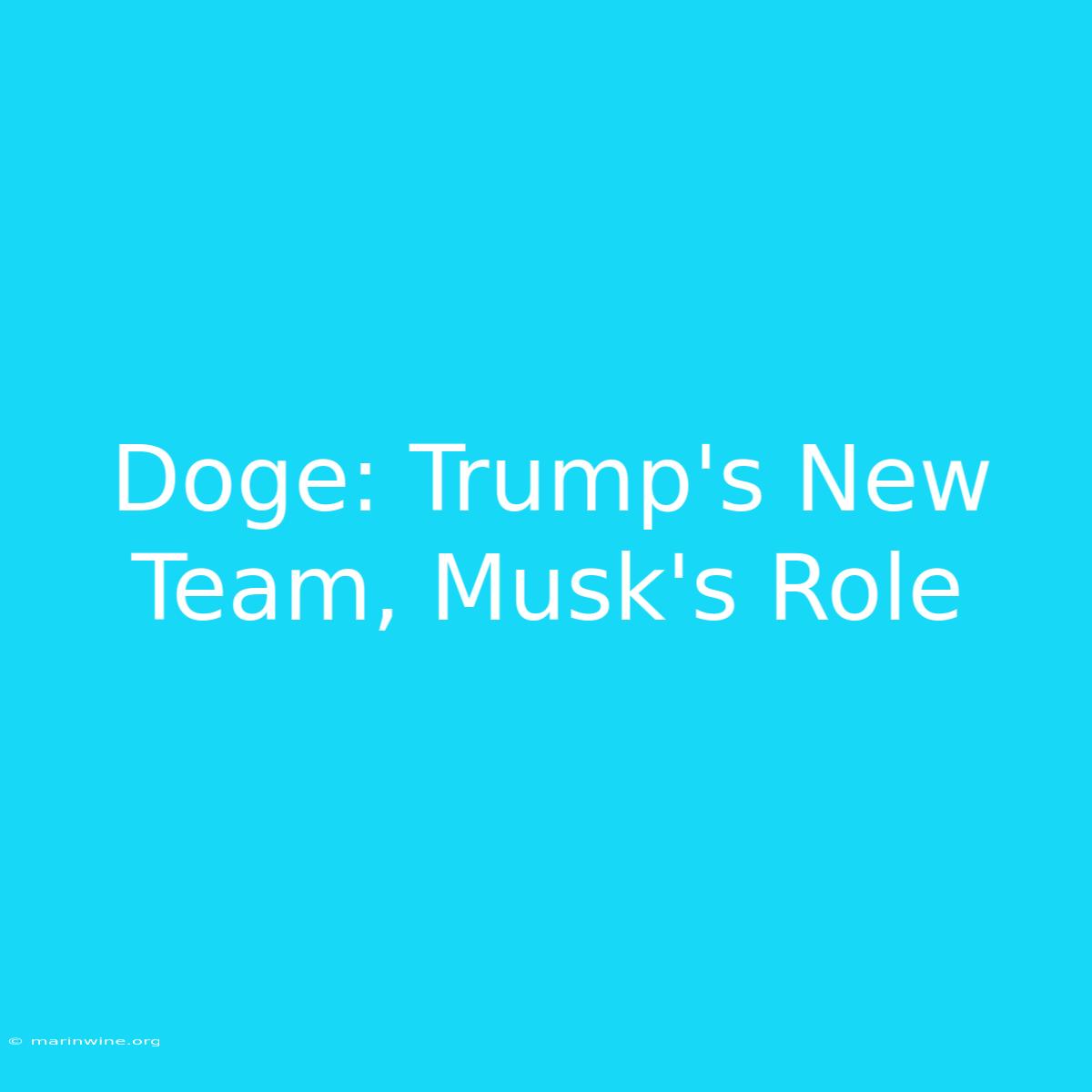 Doge: Trump's New Team, Musk's Role