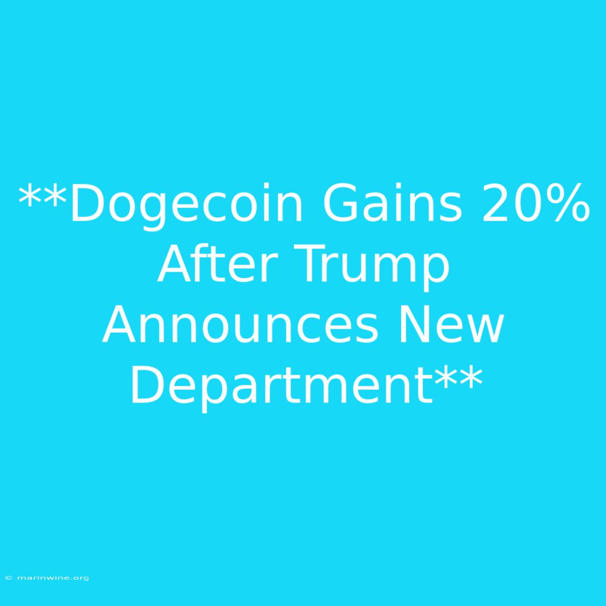 **Dogecoin Gains 20% After Trump Announces New Department** 